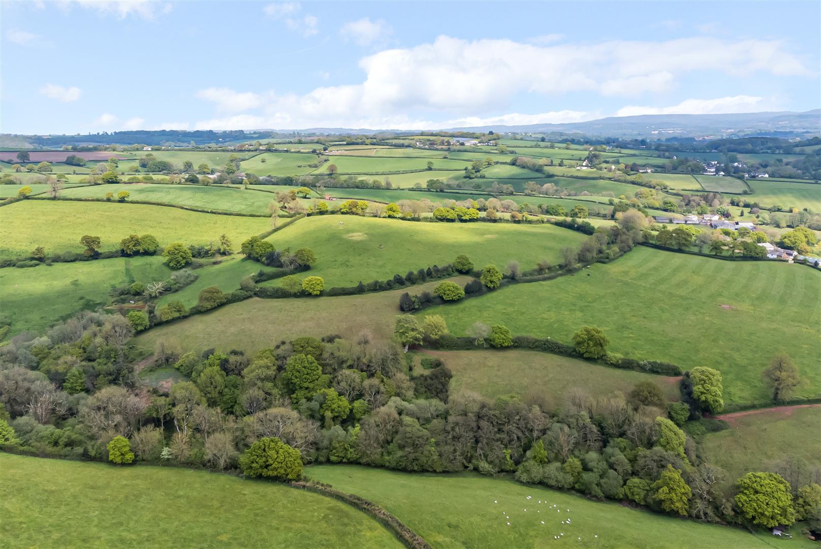 Property Image 1f3e4249-9c46-4a83-9cad-dc1a95b4cb91