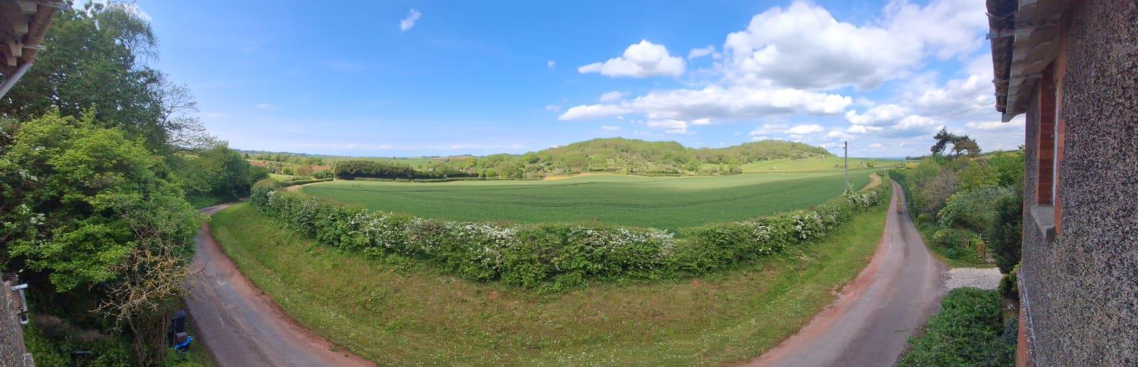 Property Image 1f43c30e-8859-4a94-ae32-183c5a7aa8ae