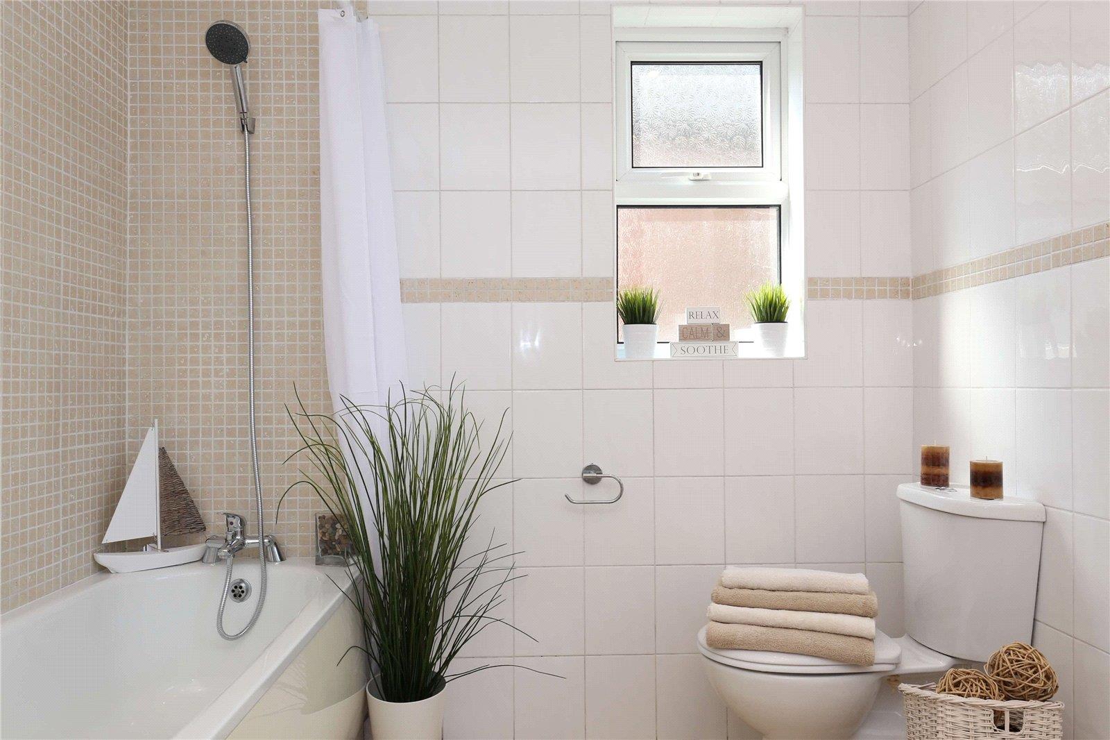 Property Image 1f4f67a5-6af5-4aa4-92f1-11e778cf99c4
