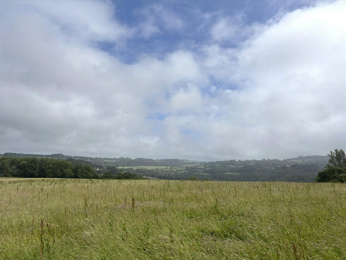 Property Image 1f50e87e-984a-4944-a07e-285ee87ce156