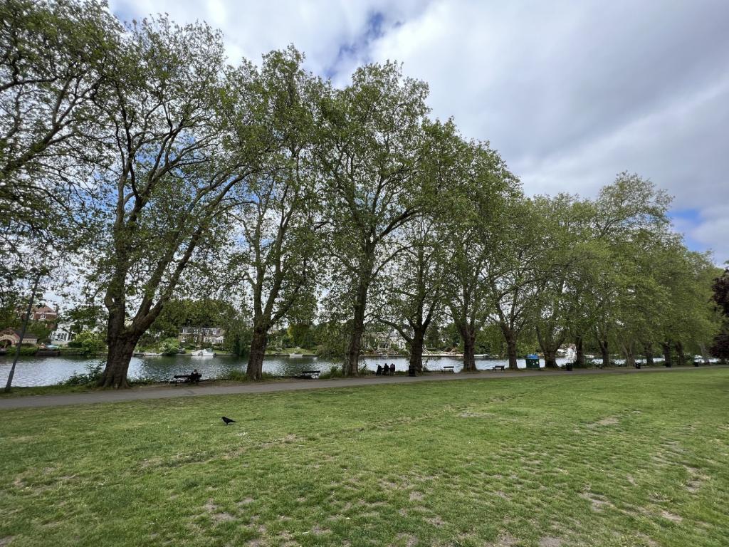 Property Image1f610317-1547-405a-8a46-26b56e43cefe