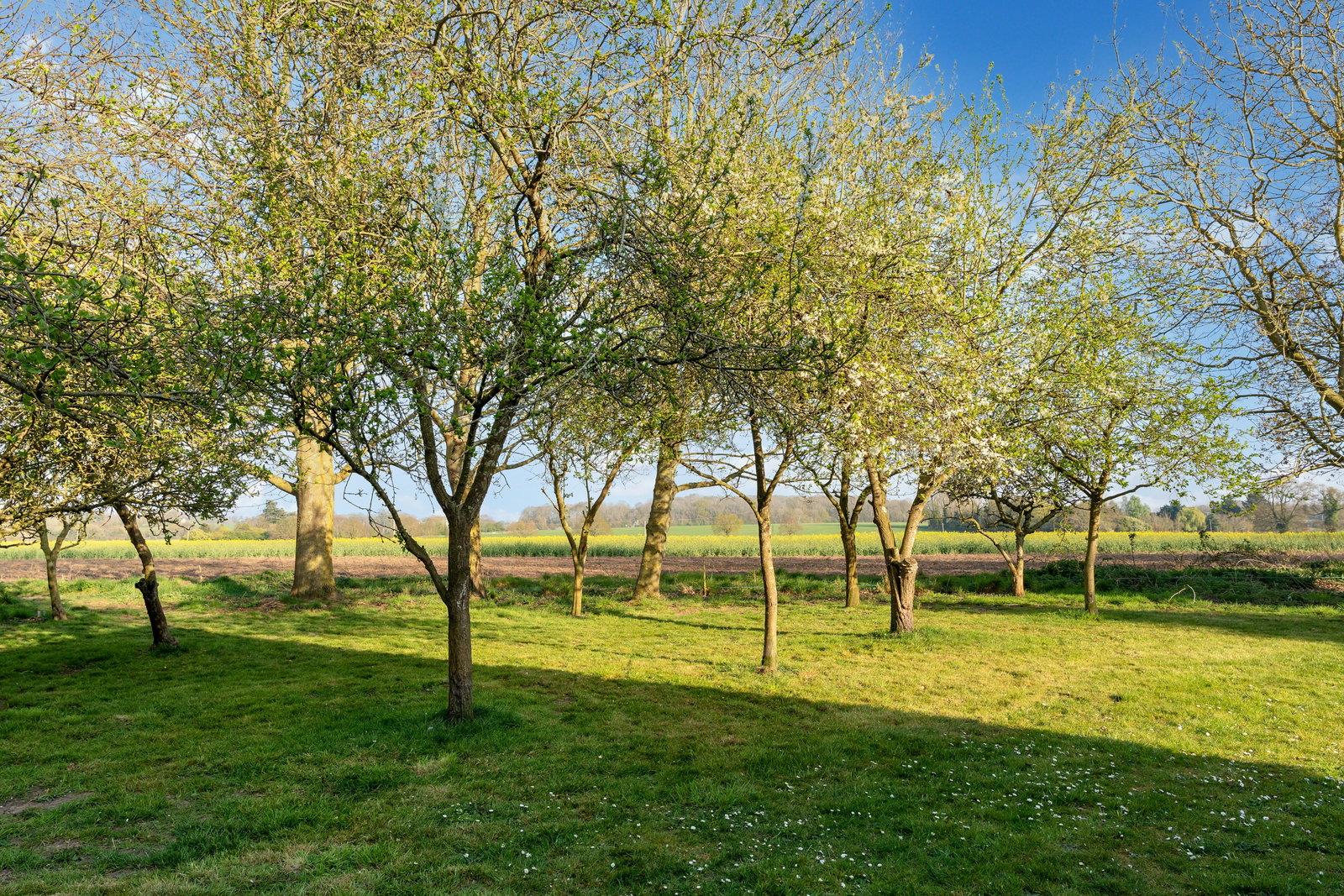 Property Image 1f632a9c-d428-4a35-bfcc-c76ca6413a1f