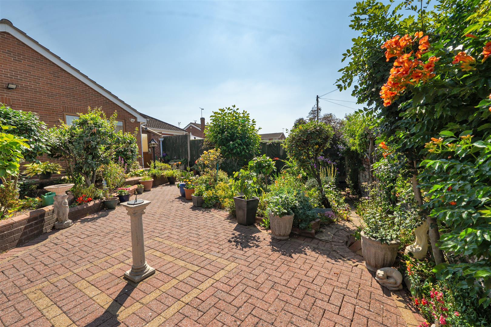 Image 25
