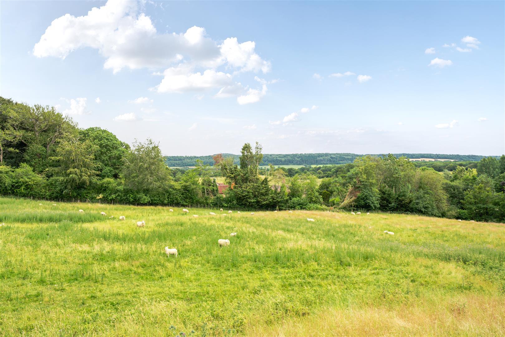 Property Image 1f988e07-5bf1-481c-88ef-c4610f7c073e