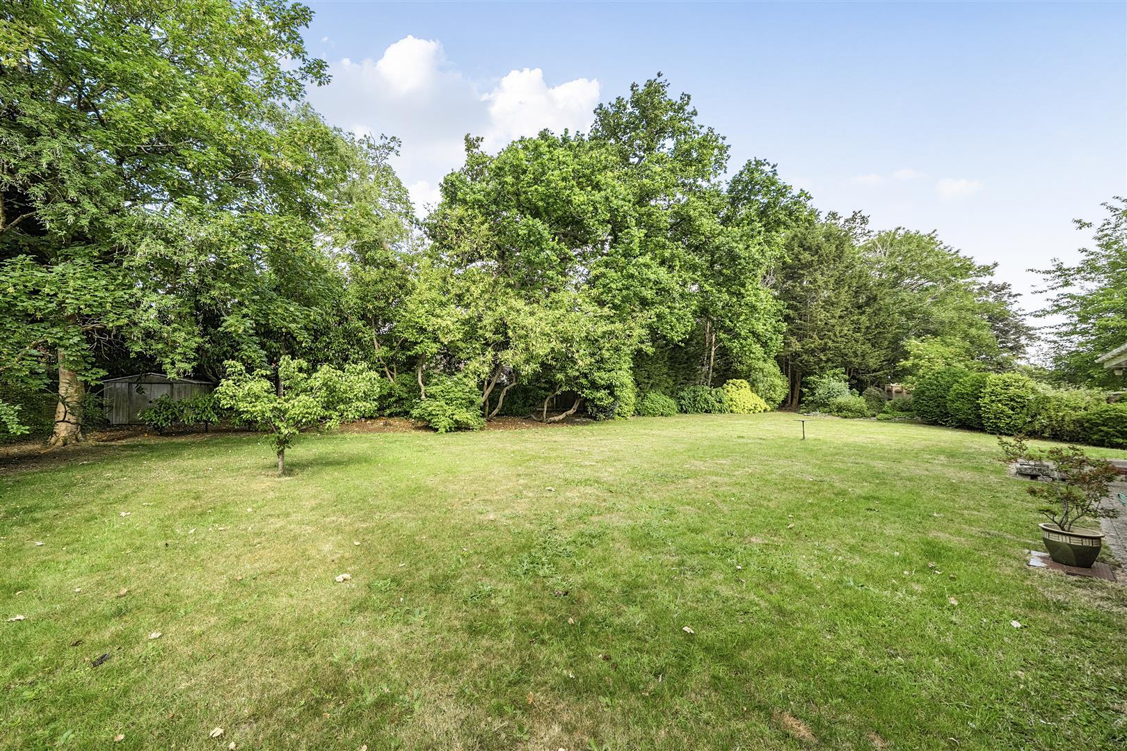 Property Image 1fcdc38e-ffd7-41b7-a871-24abc1f699f2