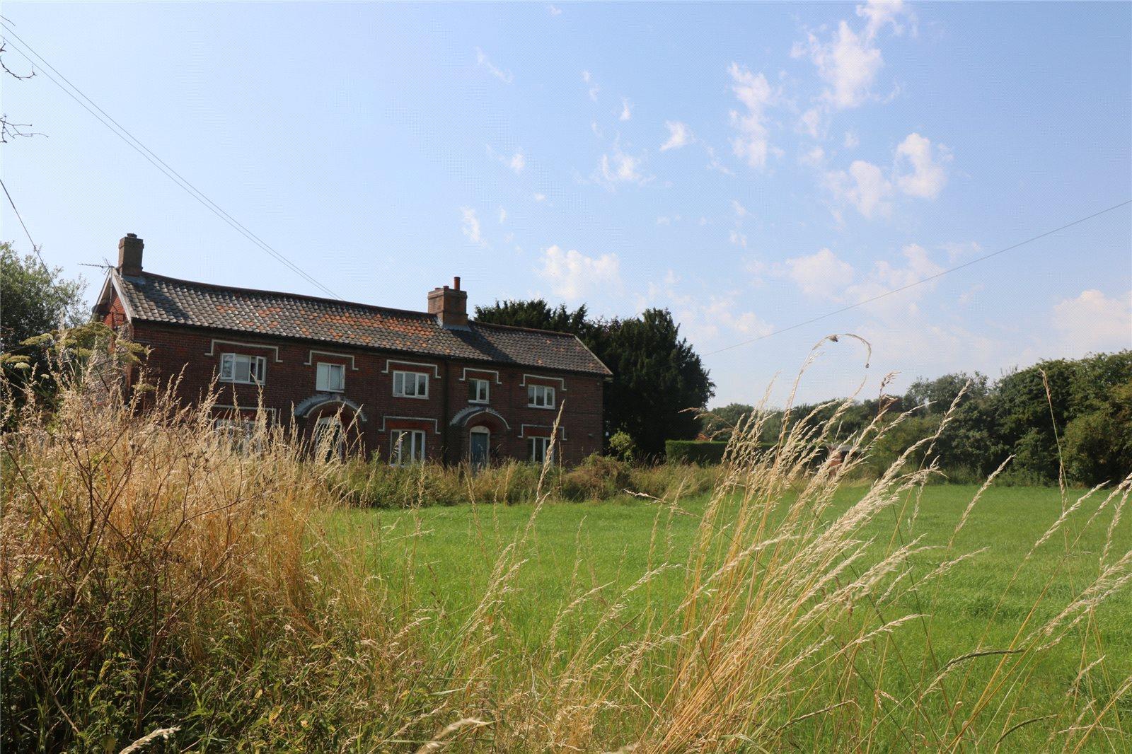 Image 15