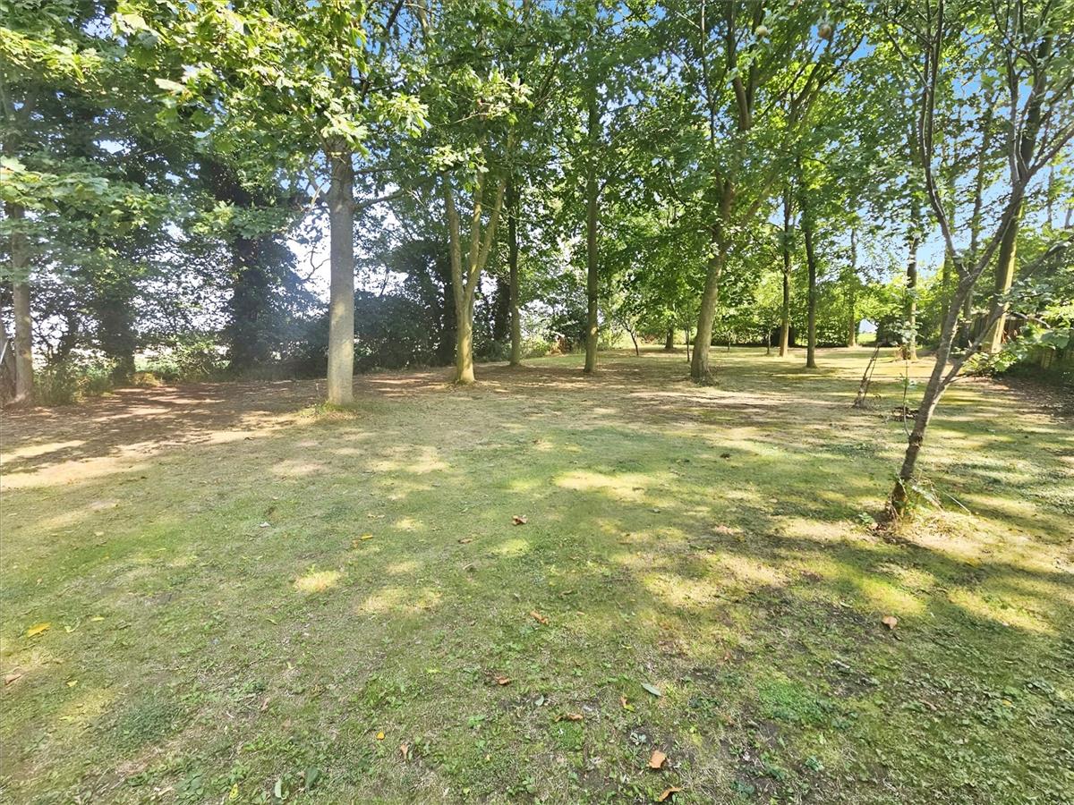 Property Image 200748a7-19aa-48a5-b38d-fa2304f7b2b5