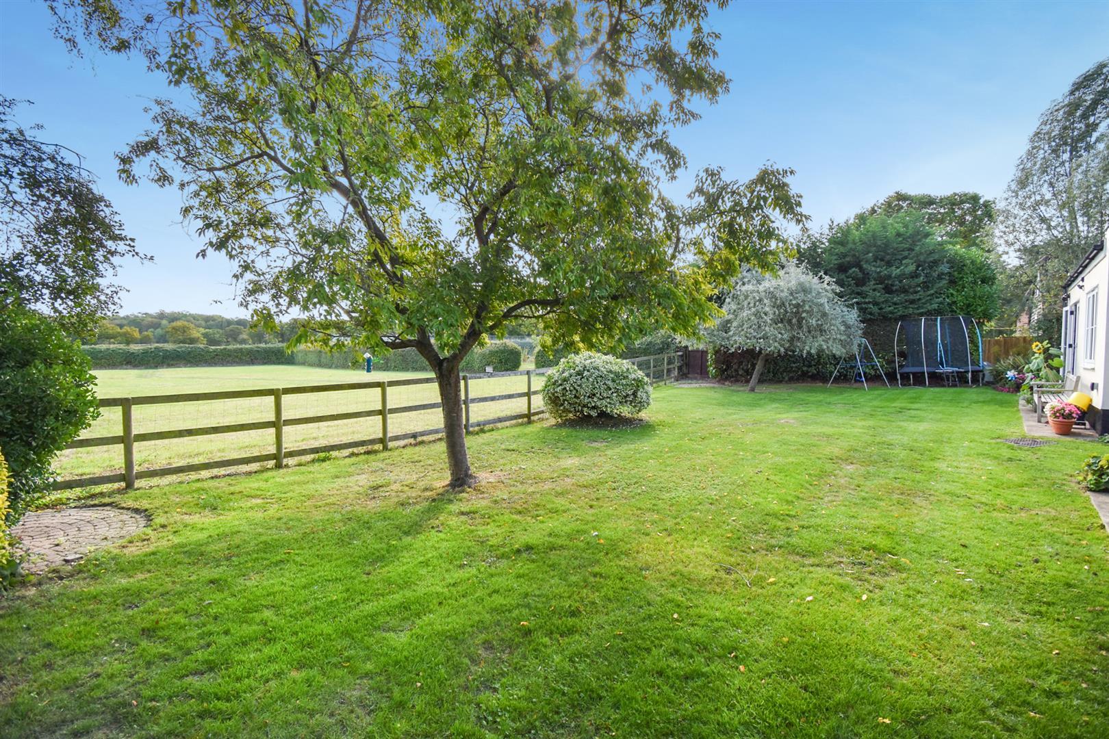 Property Image 20173f87-eec9-44ea-a509-8e8c2a214048