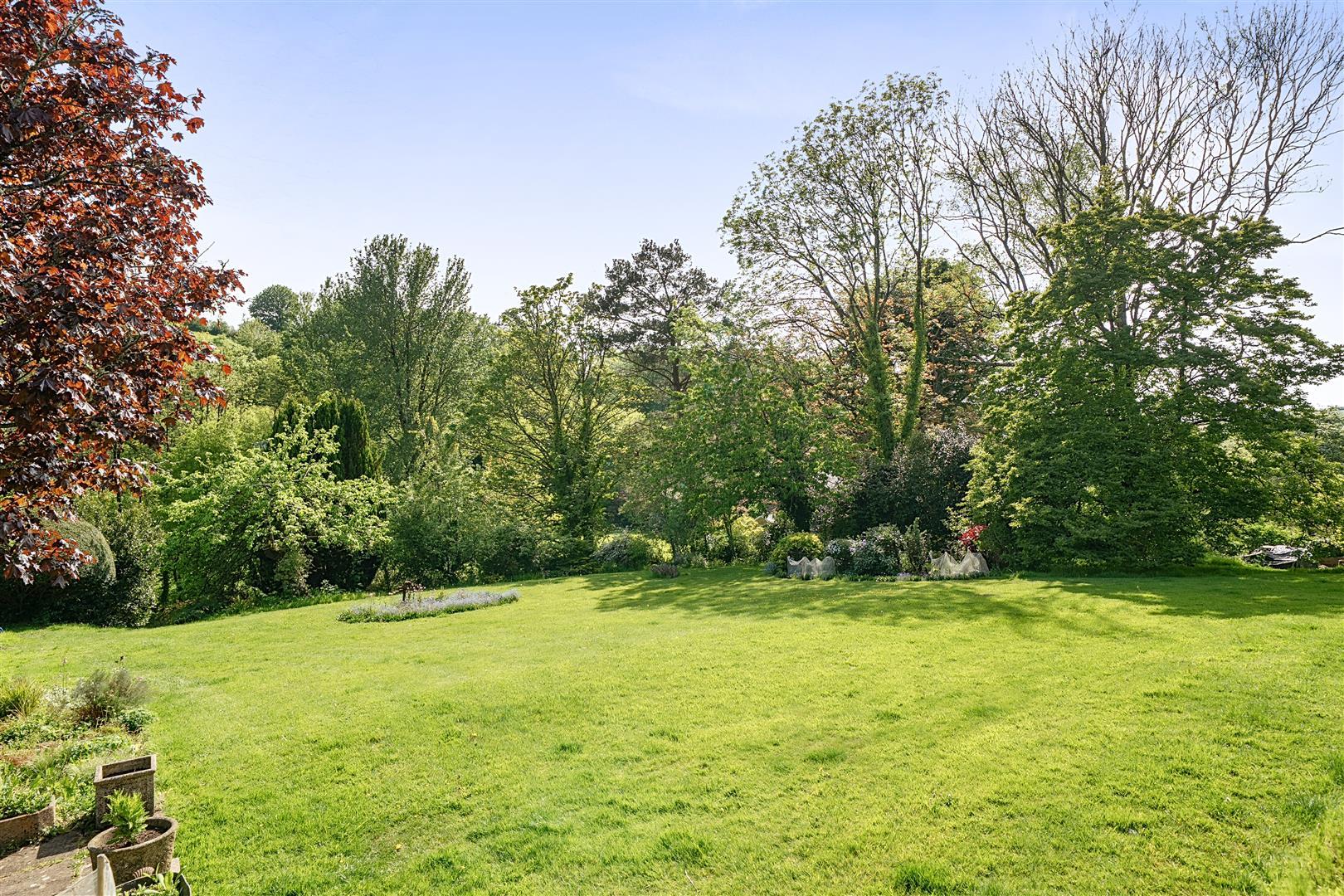 Property Image 2048e8f2-29bd-4a1c-ae31-ade005709dd0