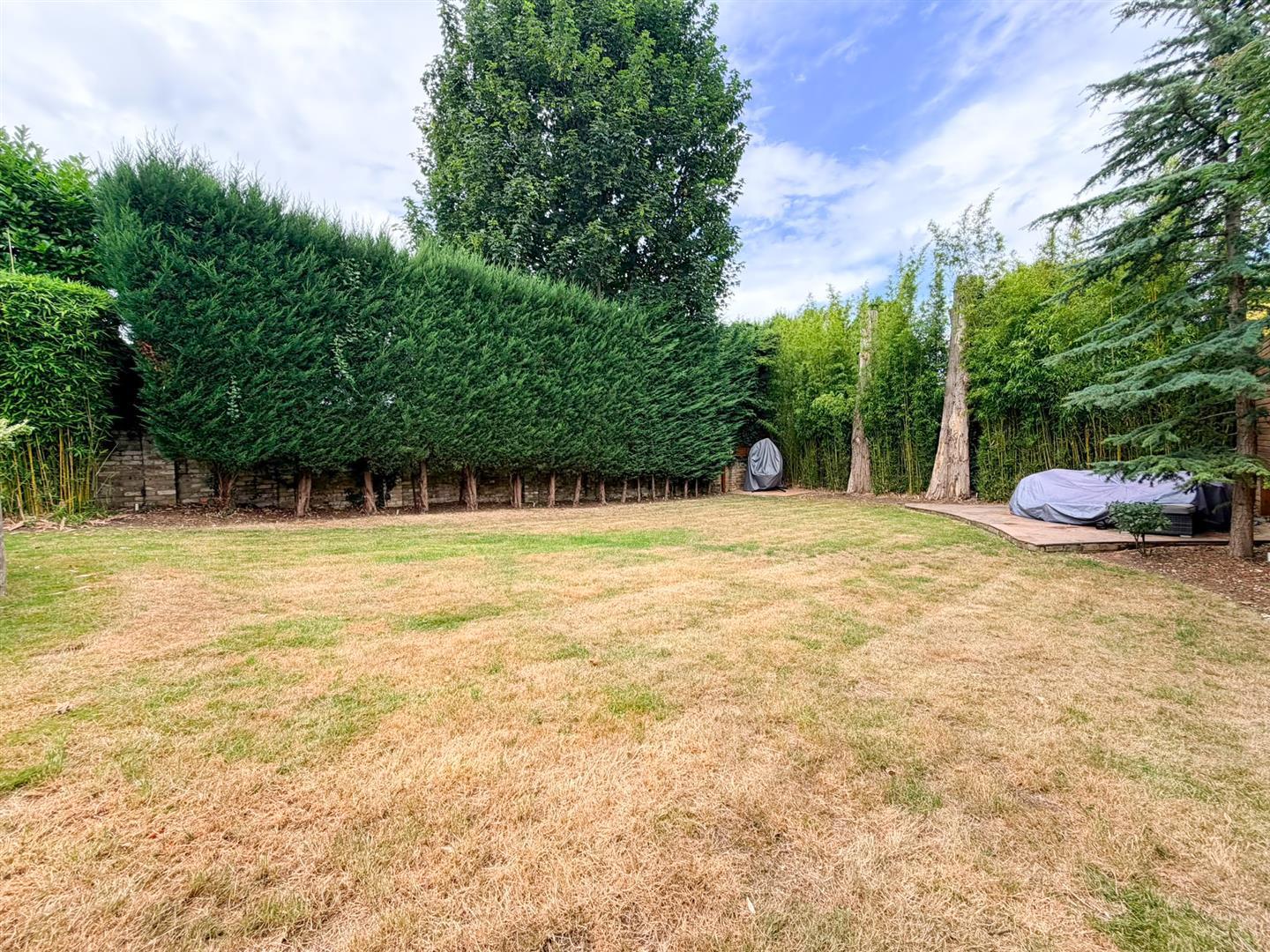 Property Image 2075ca3d-577f-499e-b259-86aaa793de22