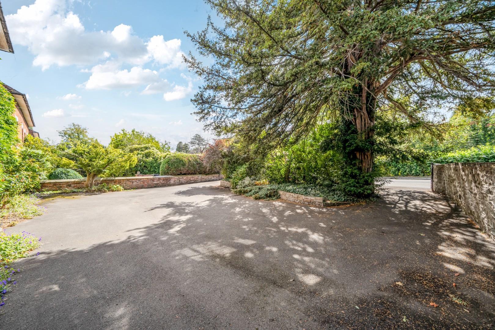 Property Image 207c386f-2a45-4a54-999c-ba9dd6a70d71