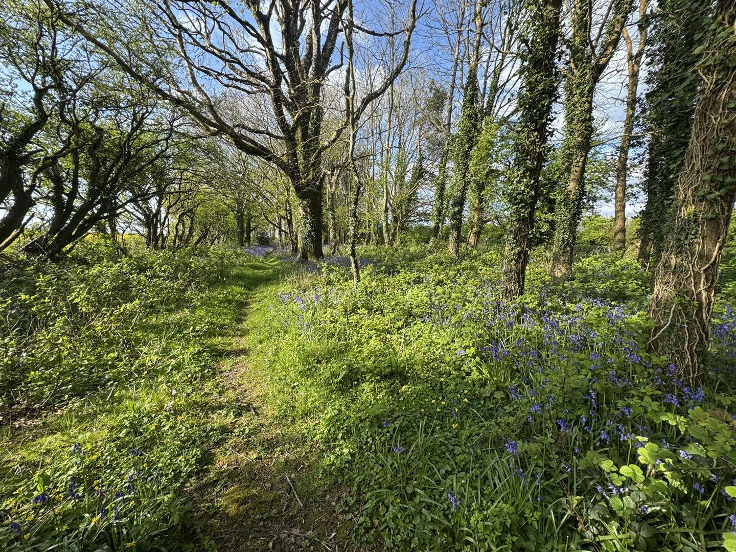 Image 21