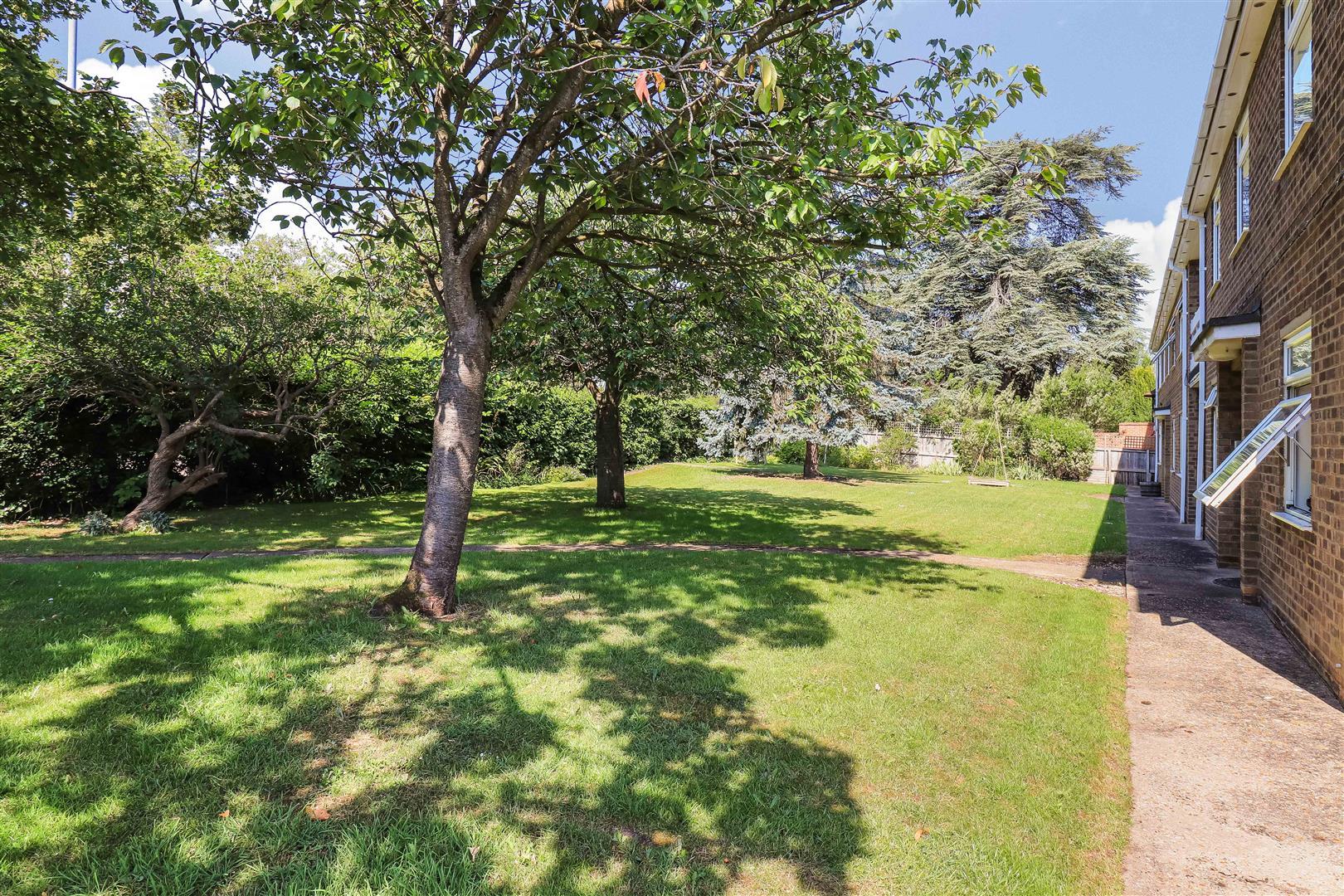 Property Image 20d85941-faaf-445d-b37e-768f80ad9ee7
