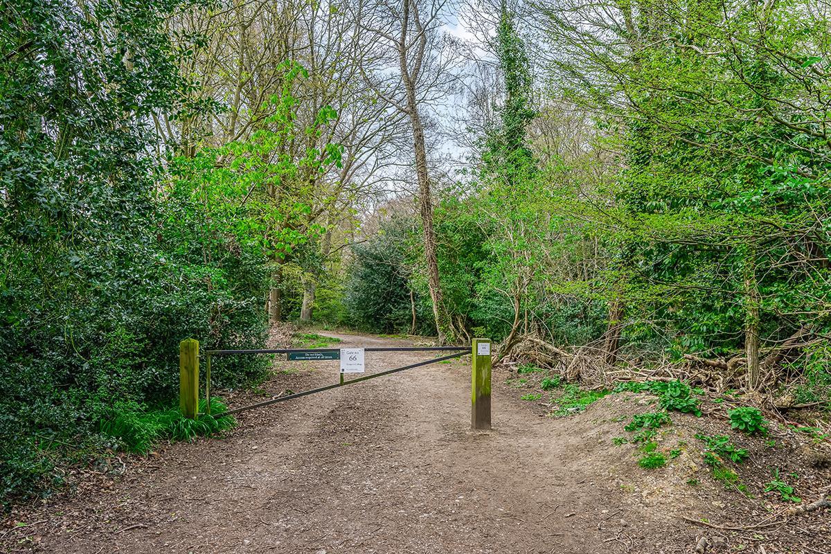 Property Image 20e05ca3-2b29-43b4-8beb-6ce0a7e70b3d