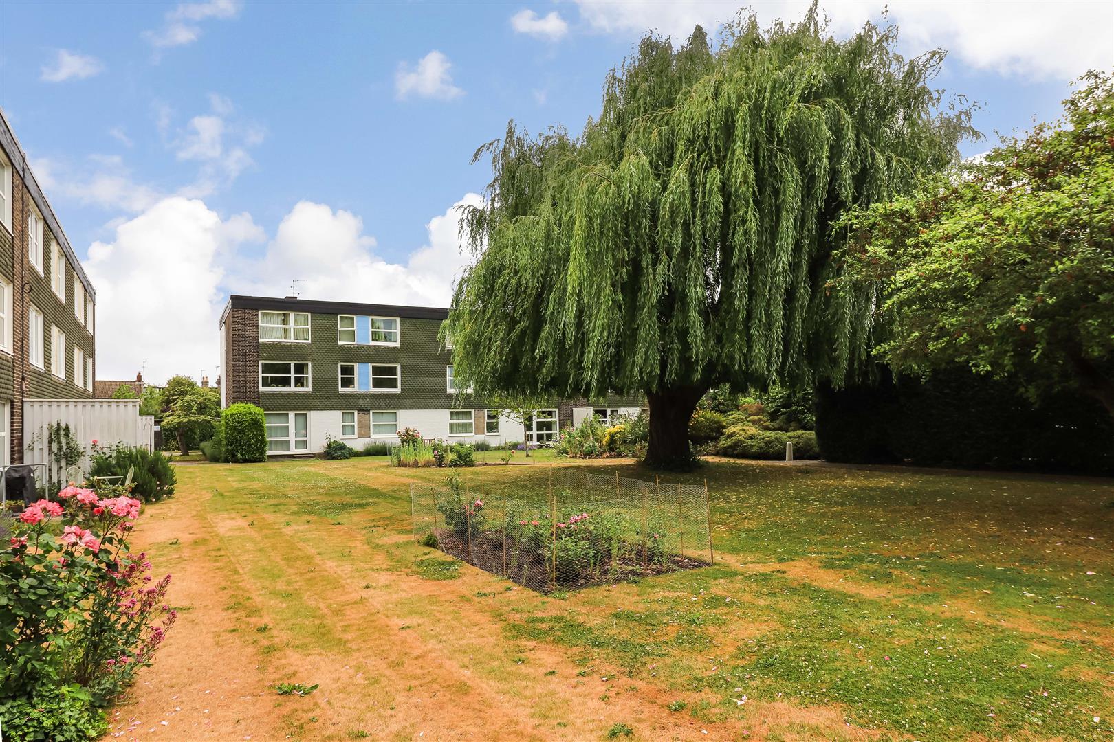 Property Image 20ee7d79-7beb-4c0b-b6e1-49d706a54939