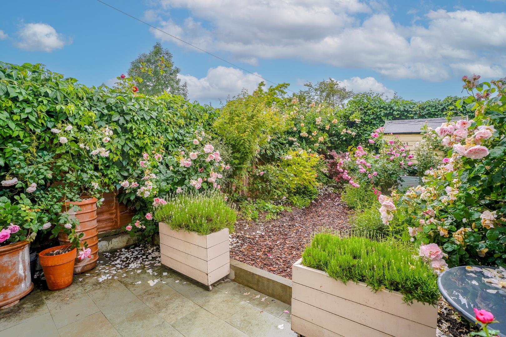 Property Image 20f6aadf-be65-459f-80f8-2b2c301d11e4