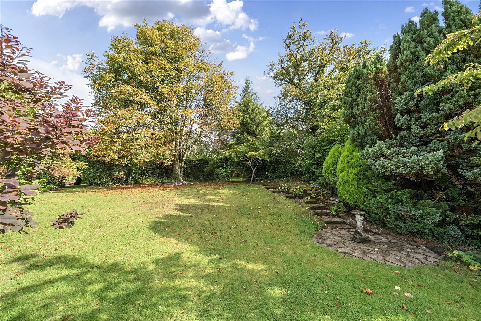 Property Image 21445eef-9b3c-4b31-8fe4-191c3add57ce