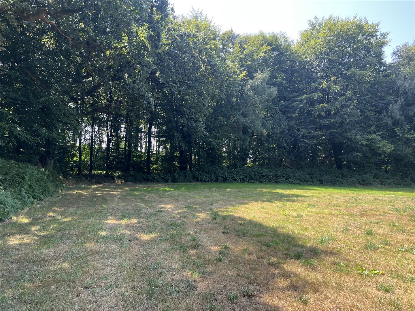 Property Image 21907d2d-53f8-4ad5-a87a-8a9b883c03c9
