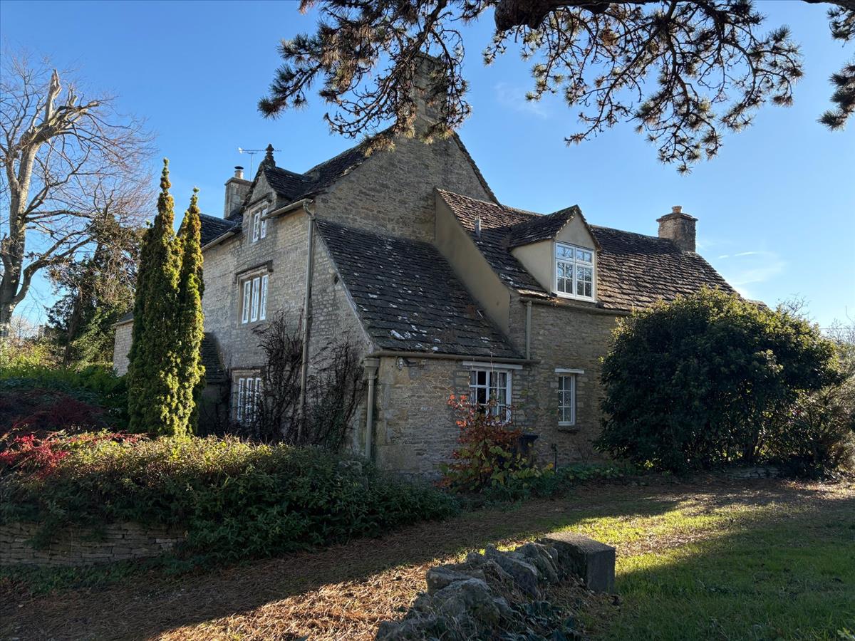 Image 15