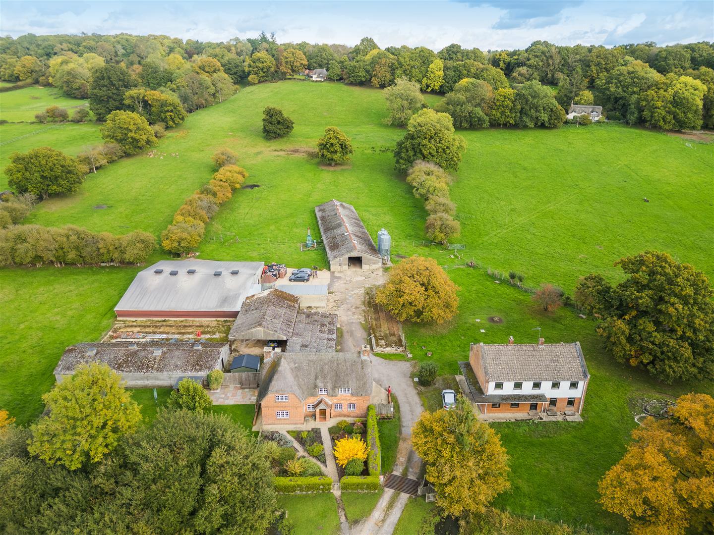 Property Image 21a94490-f673-4700-abf9-7d34d4543f5f