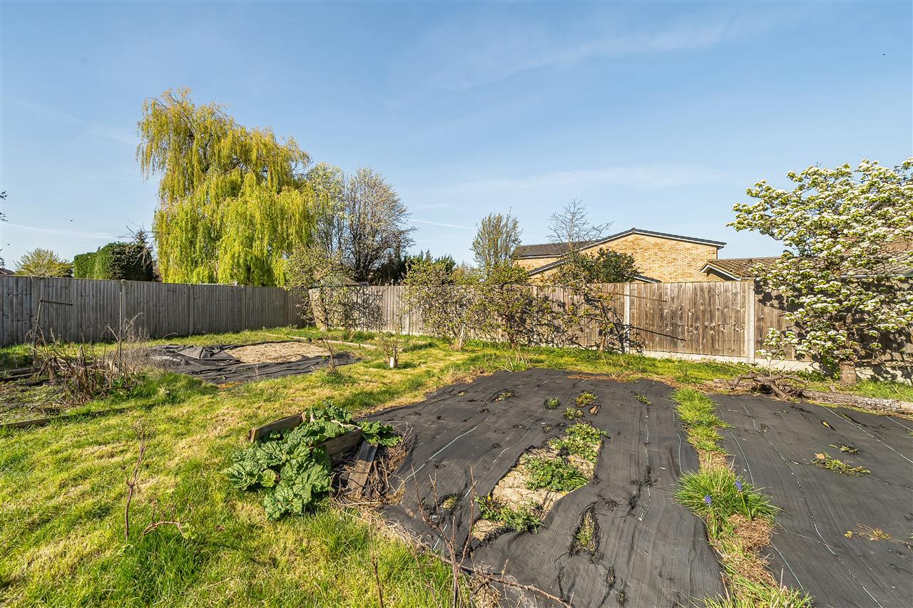 Property Image 21c1cb1f-3912-4663-a0ec-deb14391c4e9
