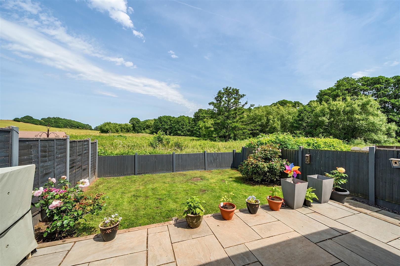 Image 15