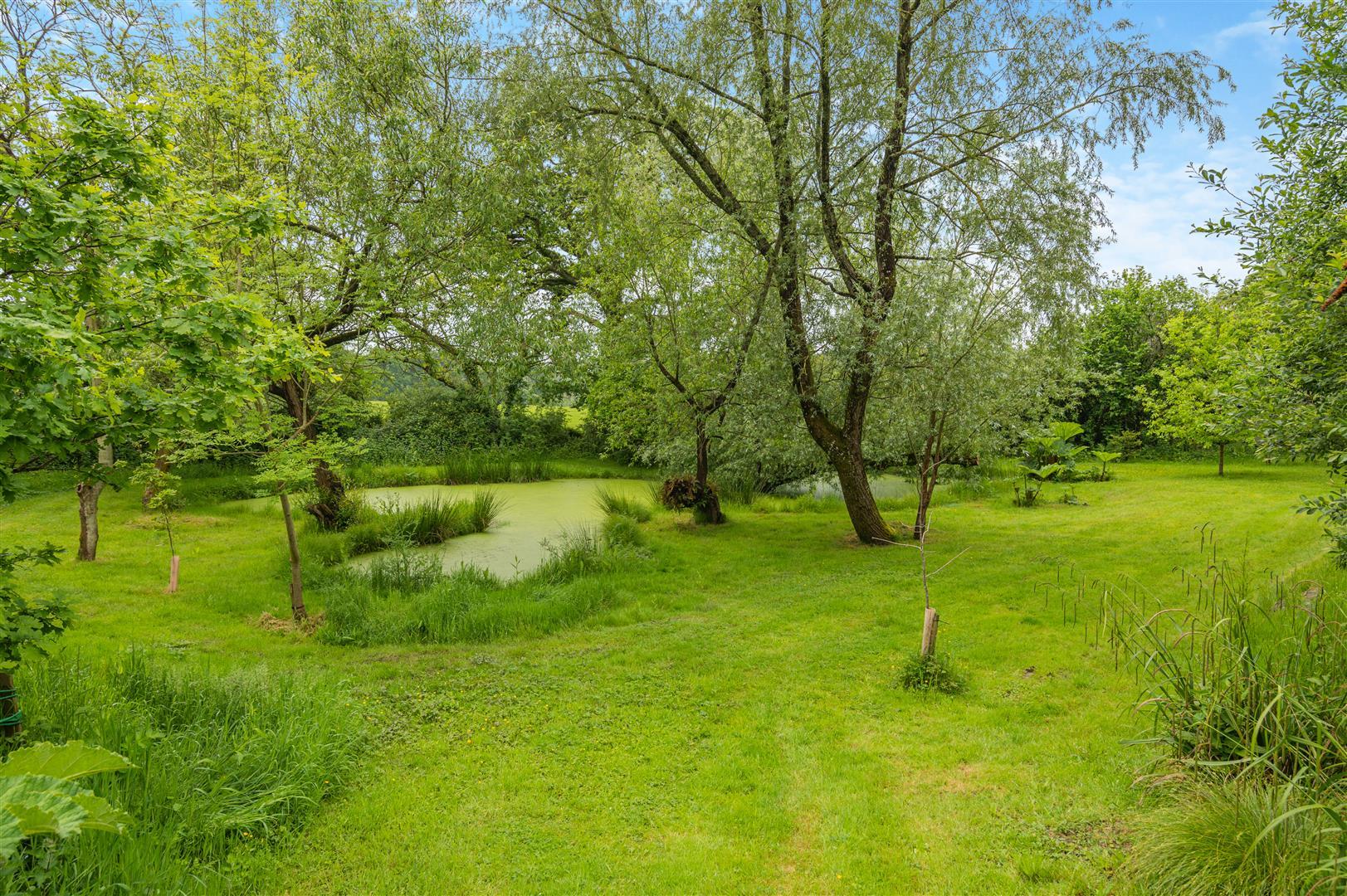 Property Image 21f3edaf-018a-4c95-b1dc-ef91895c911c