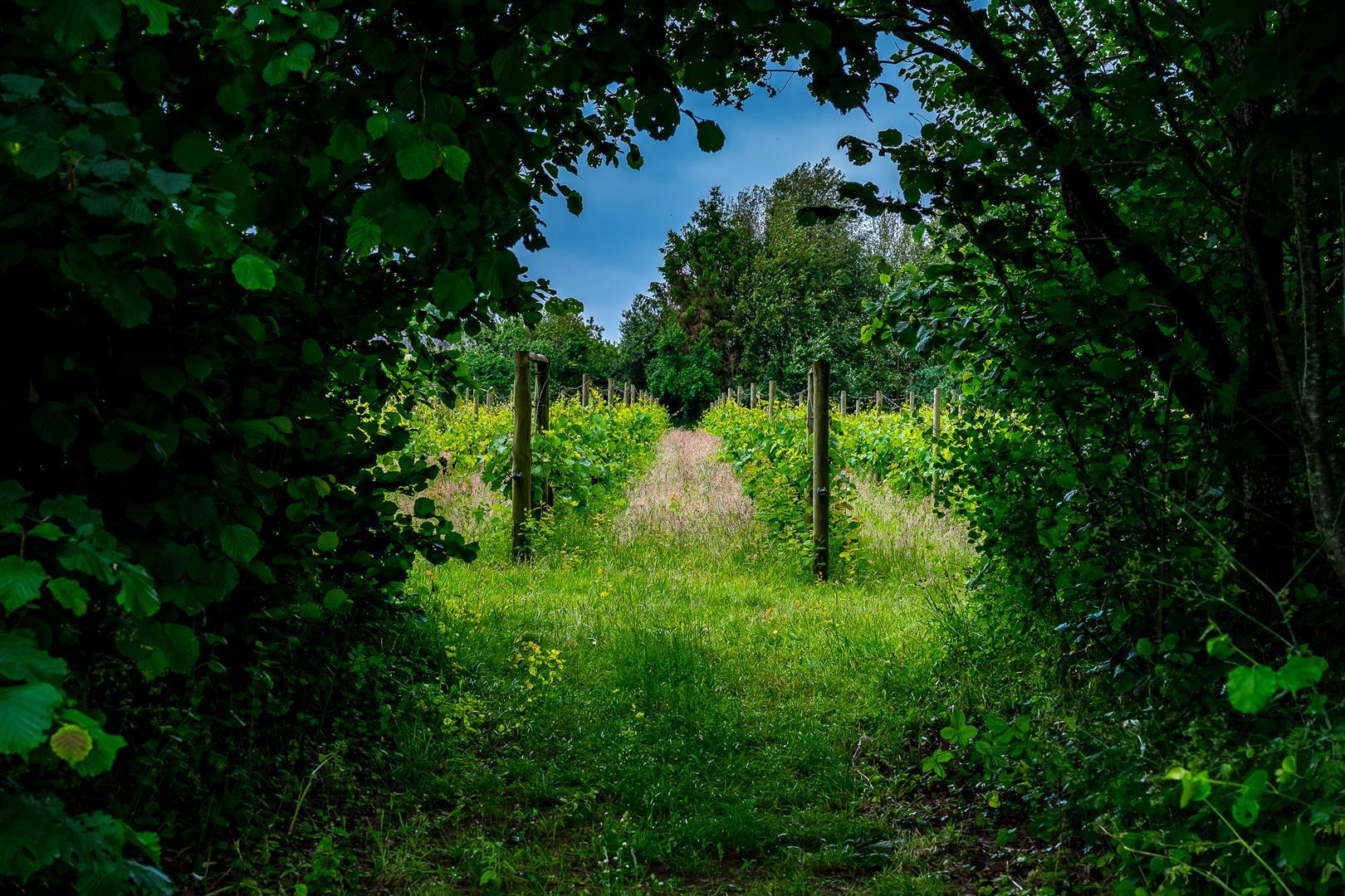 Property Image 21f79d5b-ed3e-4907-b6a5-3ec5faa0bd0c