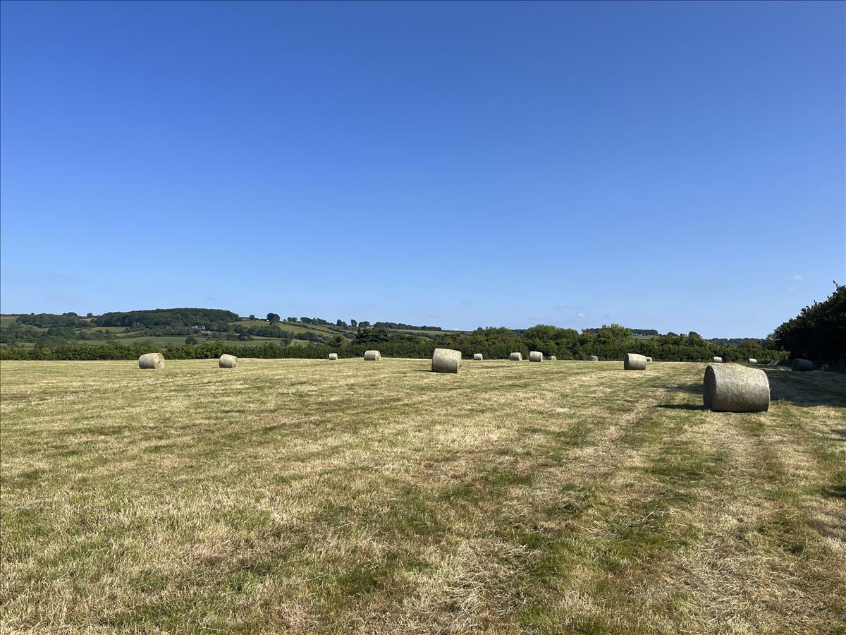Property Image 2208eb7a-133e-4891-9c87-d918ccb93718