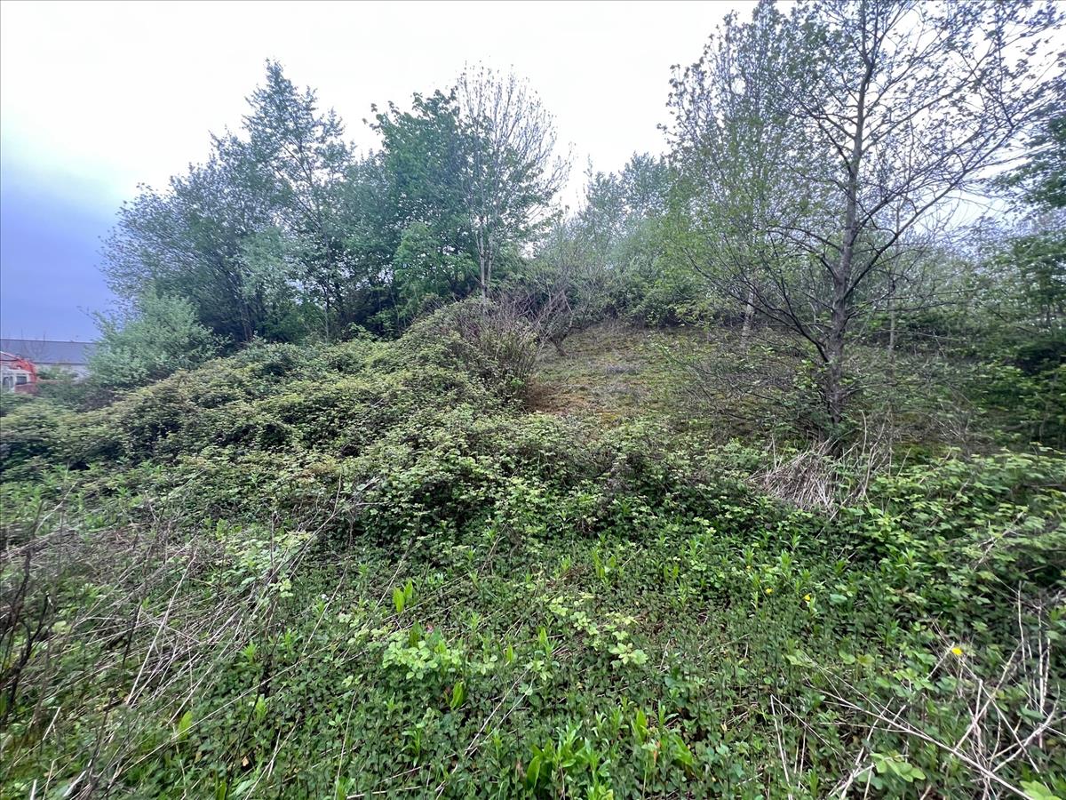 Property Image 22282af4-2bd0-452b-a328-98111b7569d2