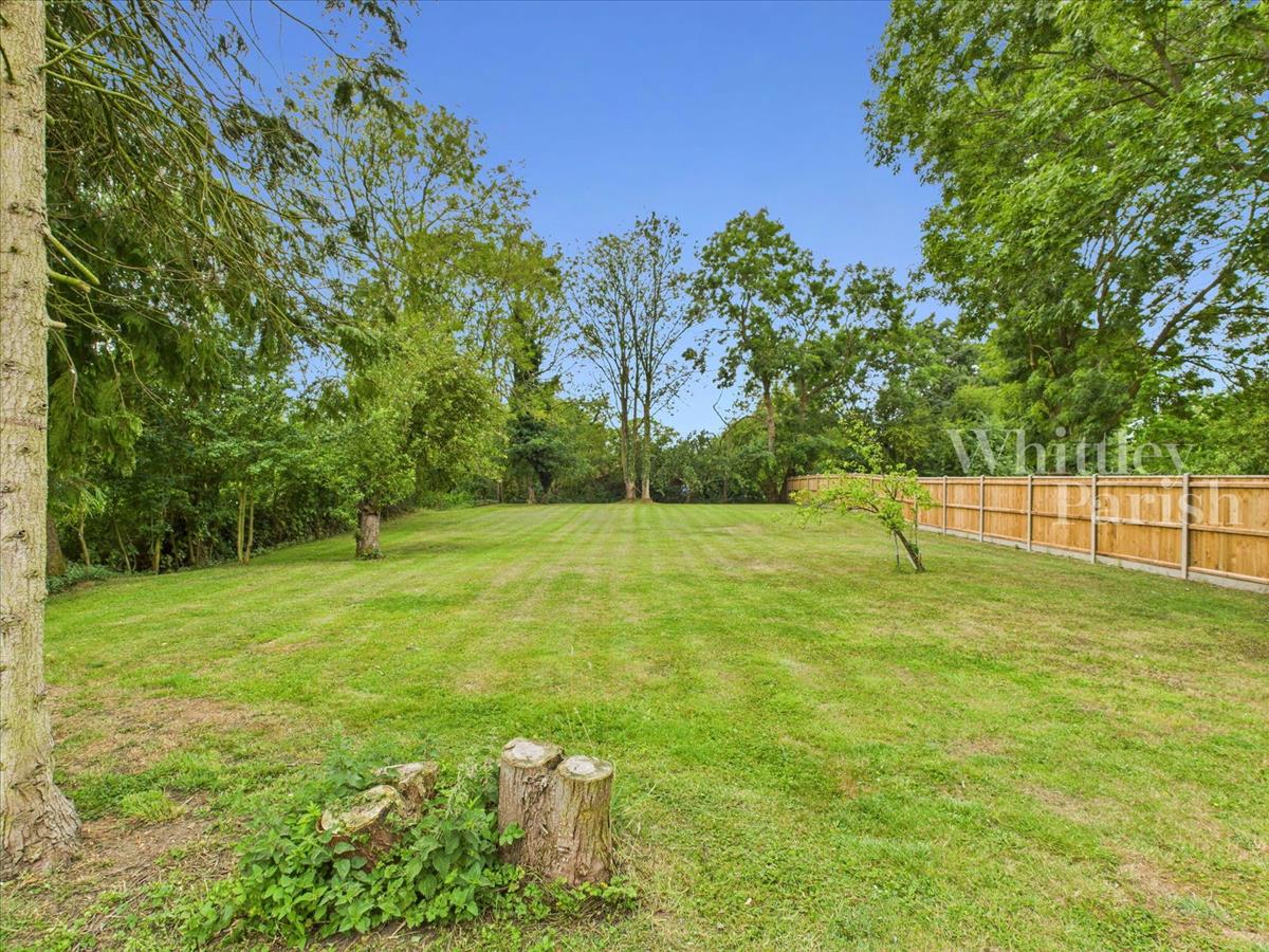 Property Image 223e1cec-d726-4c07-9a4b-7950b5ed7dc4