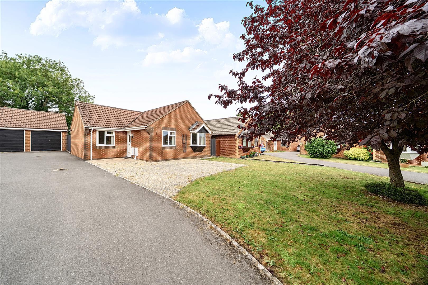 Property Image 224ced61-85c9-4ea1-8509-ad518aa7b0ba