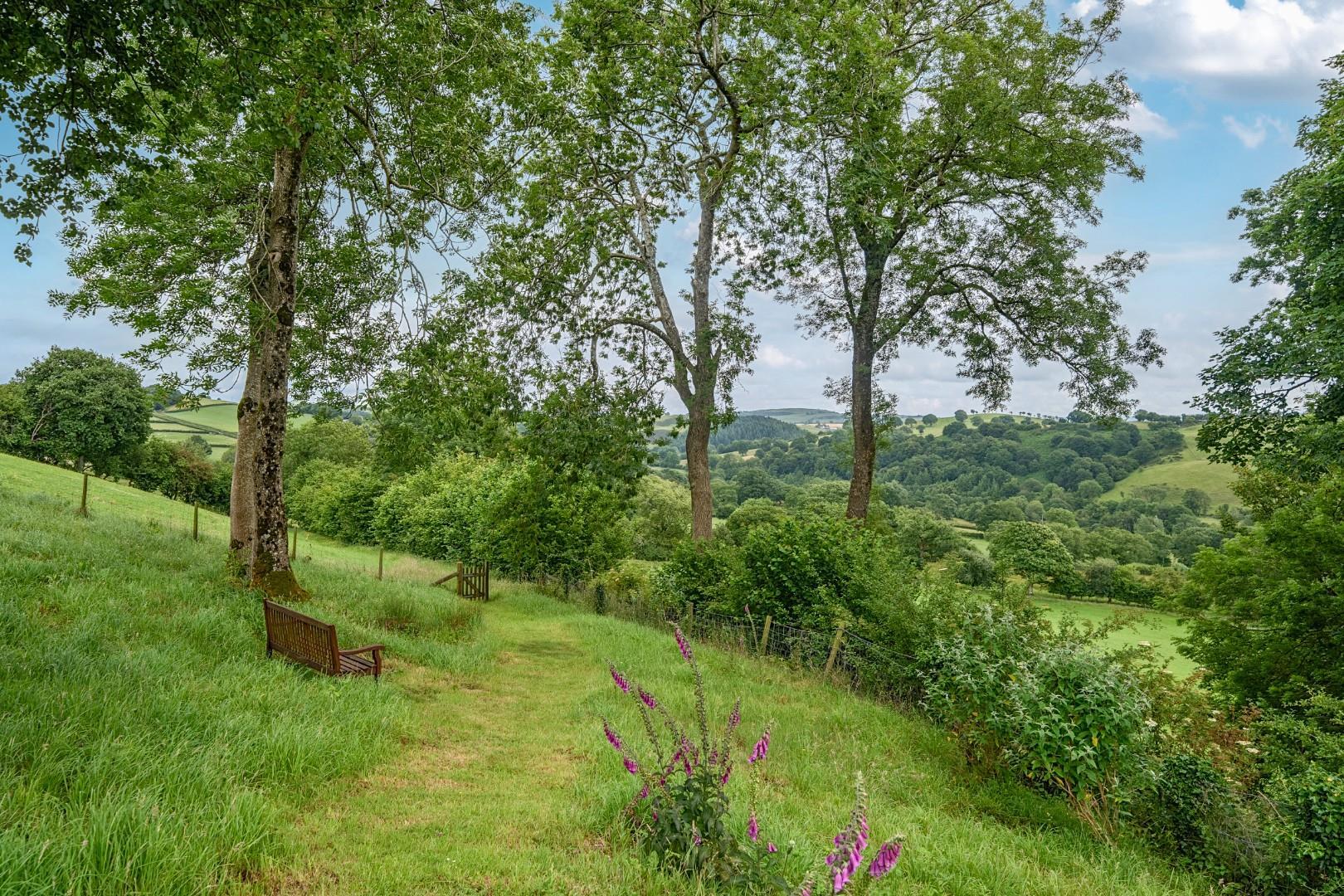 Property Image 229b47b6-ef3a-4e7e-a3e2-f037acc6d313