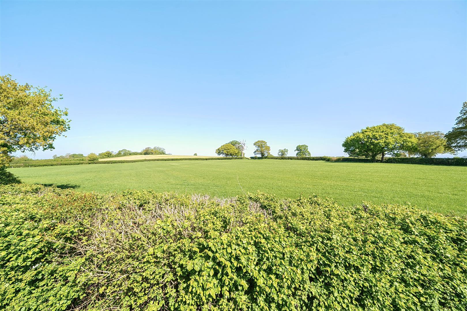 Property Image 229e769e-74c9-4c30-800a-74273f5cfba3
