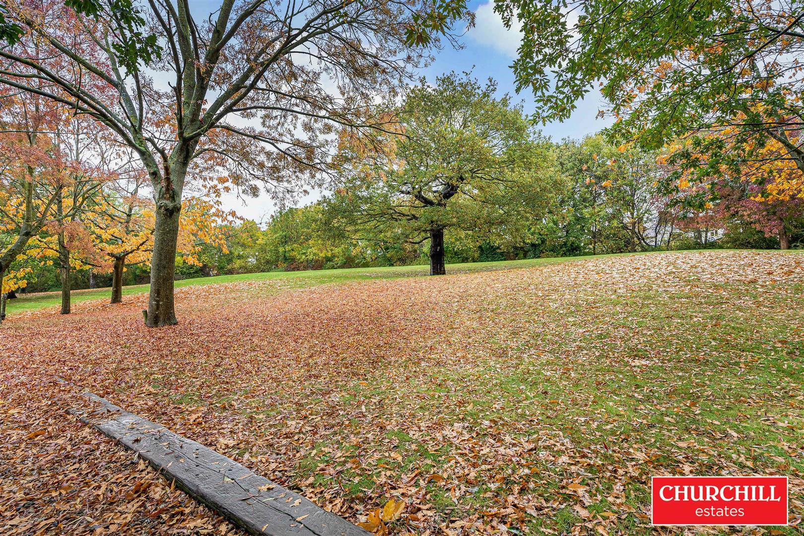 Property Image 23255a49-a887-4f23-aa9d-56d7ad737373