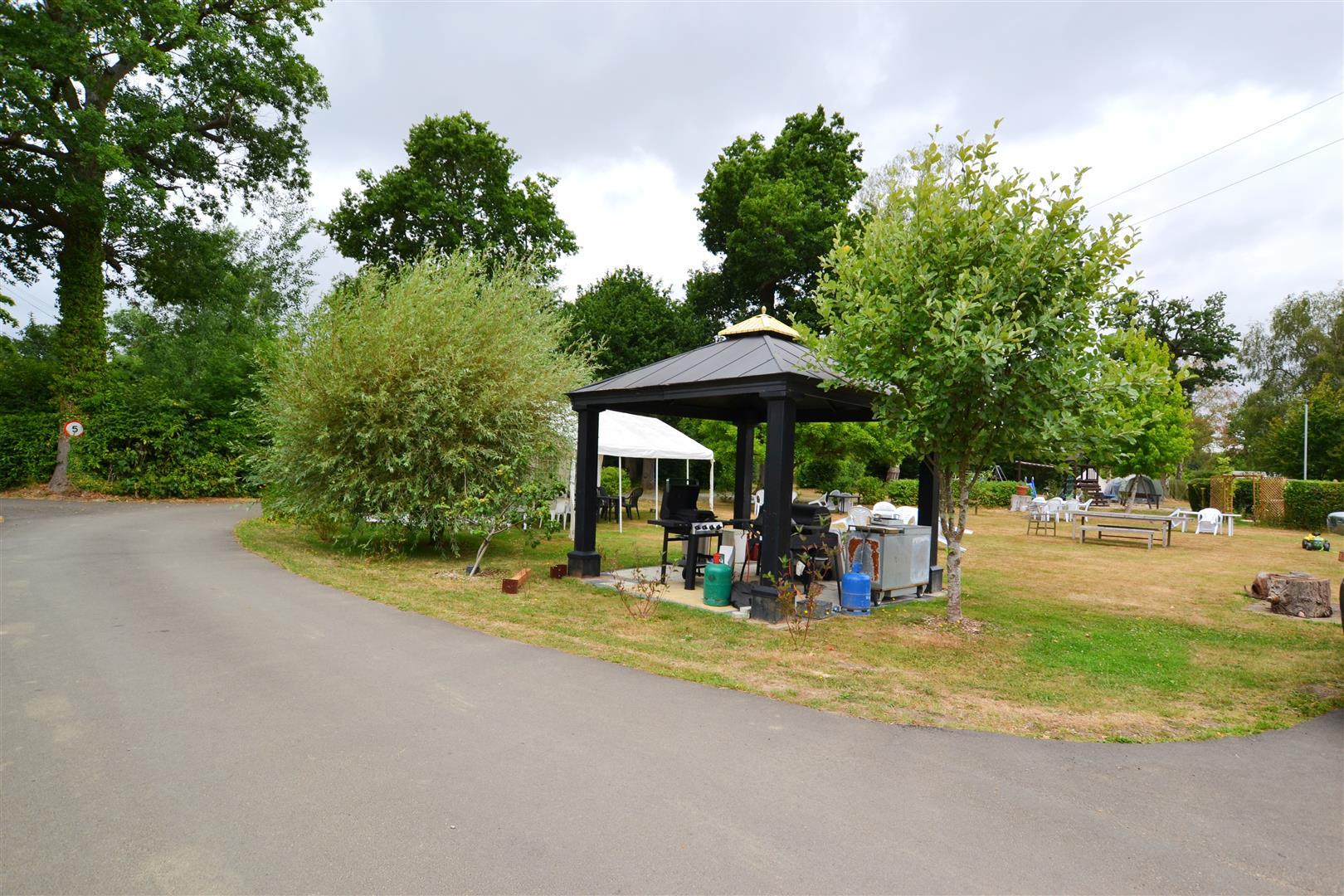 Image 21