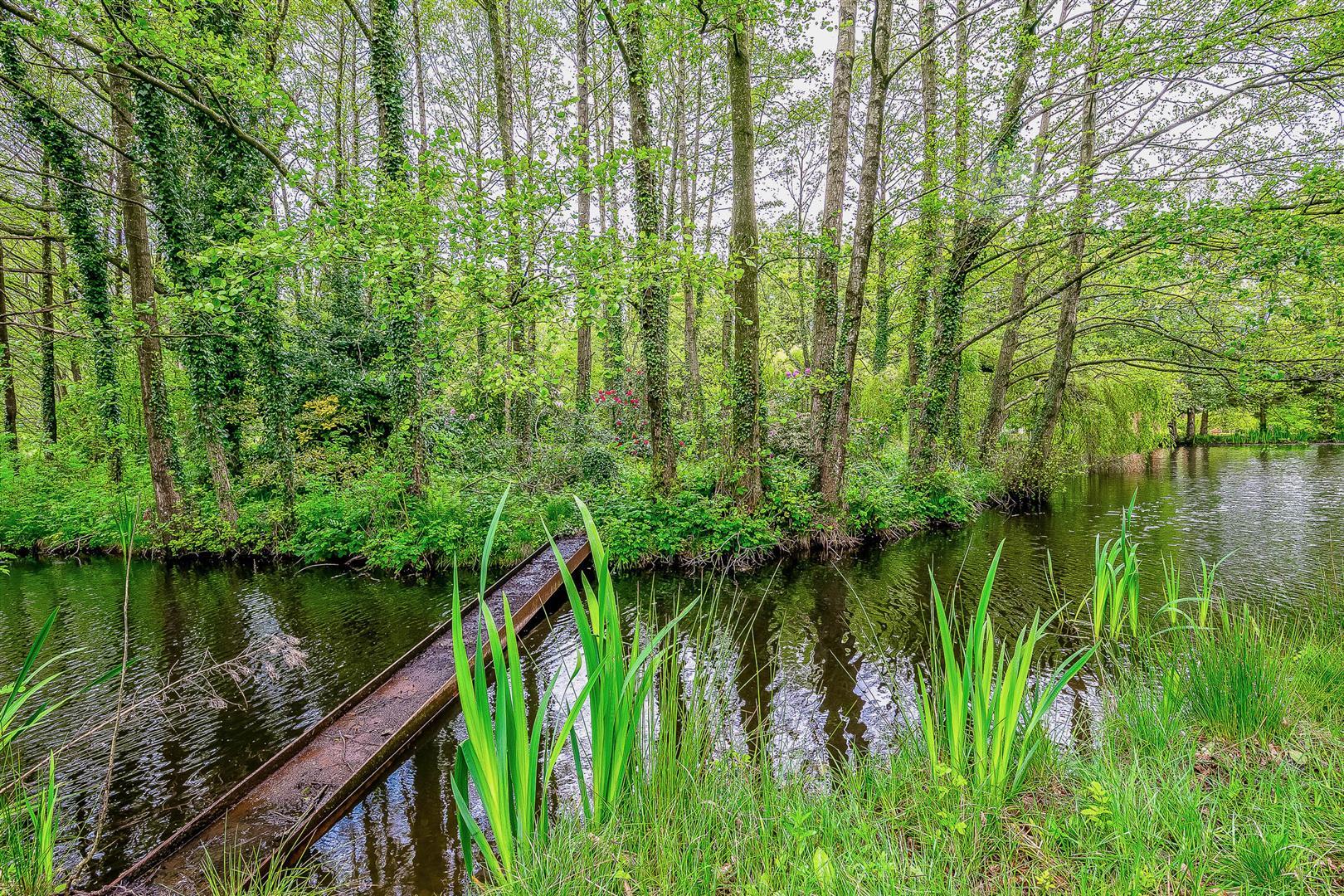 Property Image 23a834e9-44bf-4f9f-bcd6-42cf4082e178