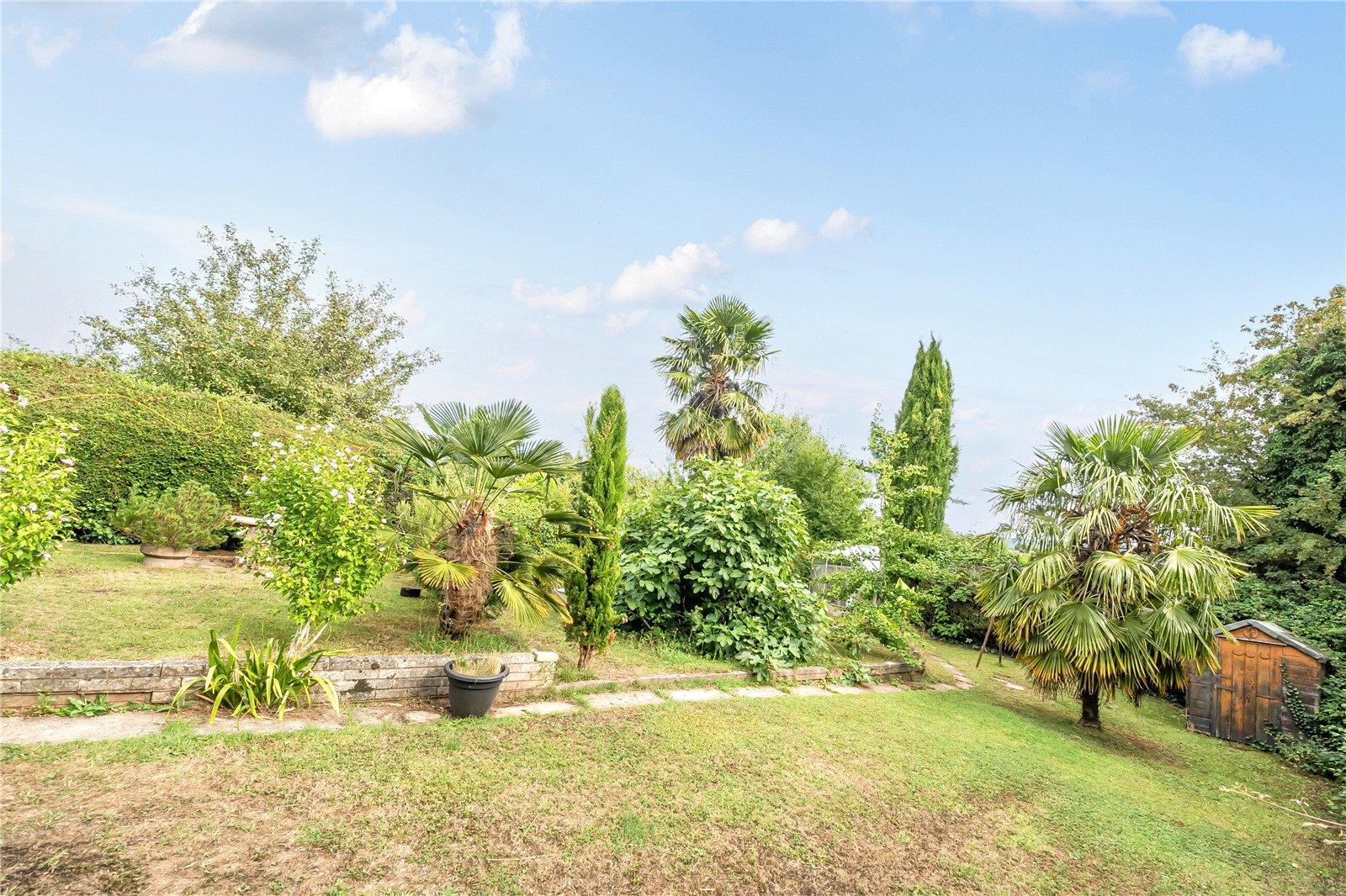 Property Image 23cedc40-e0a0-4227-a1f8-6766a5c96154