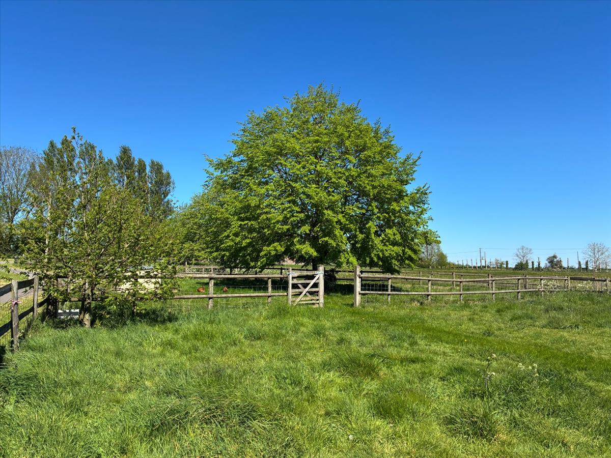 Property Image 23e36300-bd85-4b80-aaae-aa4a5d6b4b59