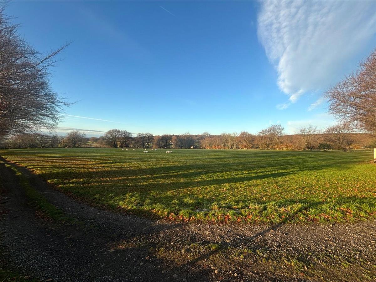 Property Image 23e48c04-1d46-4568-b32e-a0af6d586fee