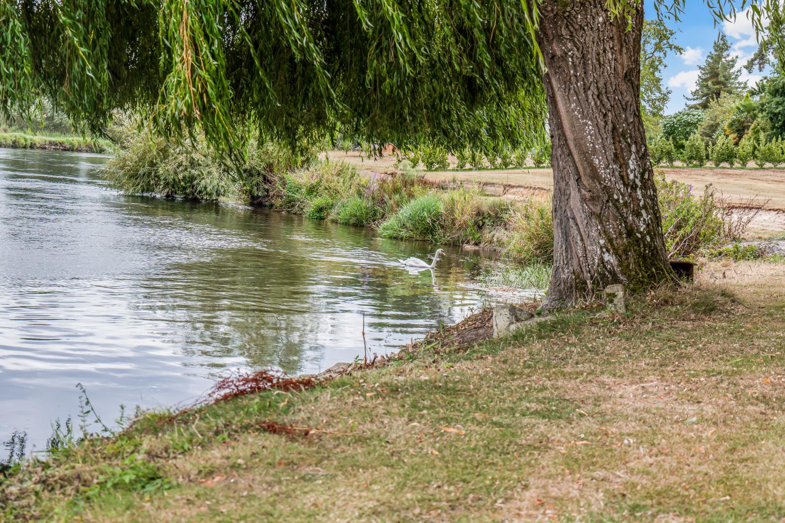 Property Image 23ea6bf3-2547-4786-91f7-7bf485a04bb8