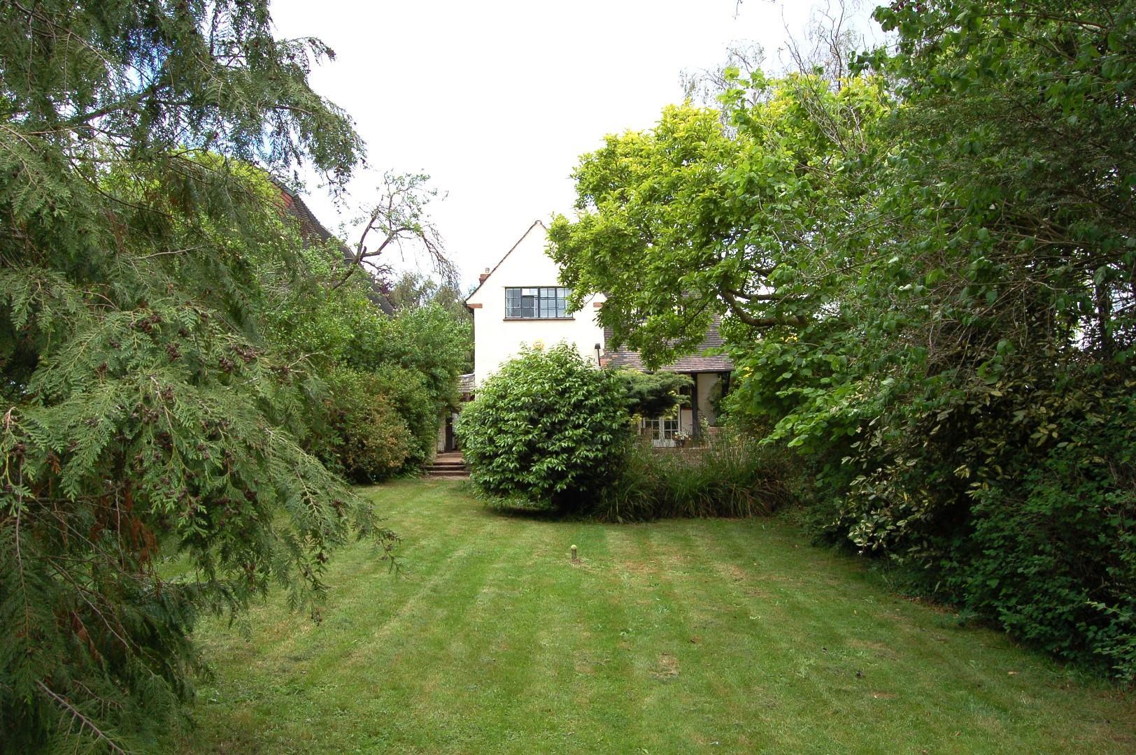 Image 14