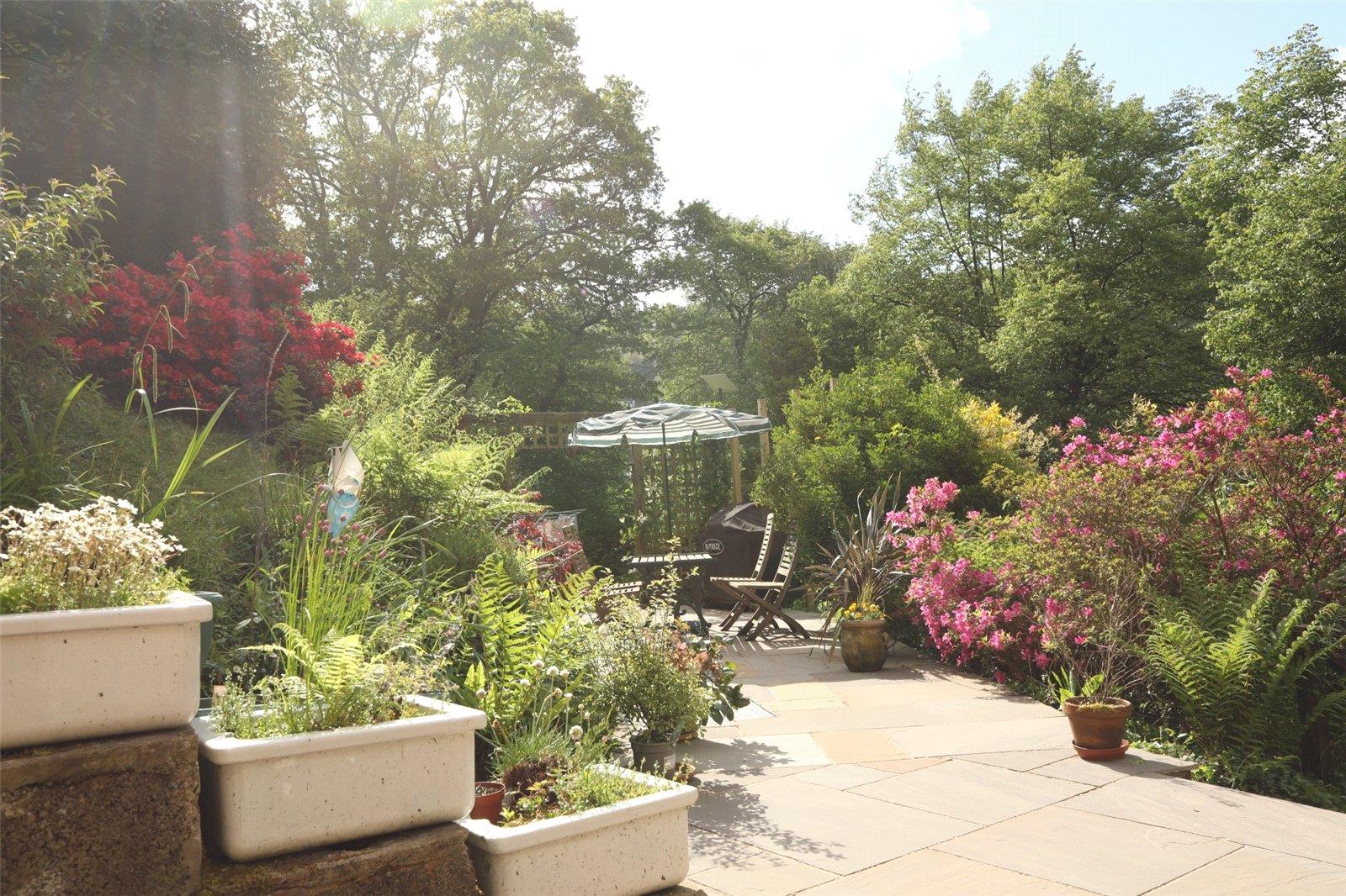 Property Image 245d29f5-a7b2-4249-bcf0-50bb49f4bd25