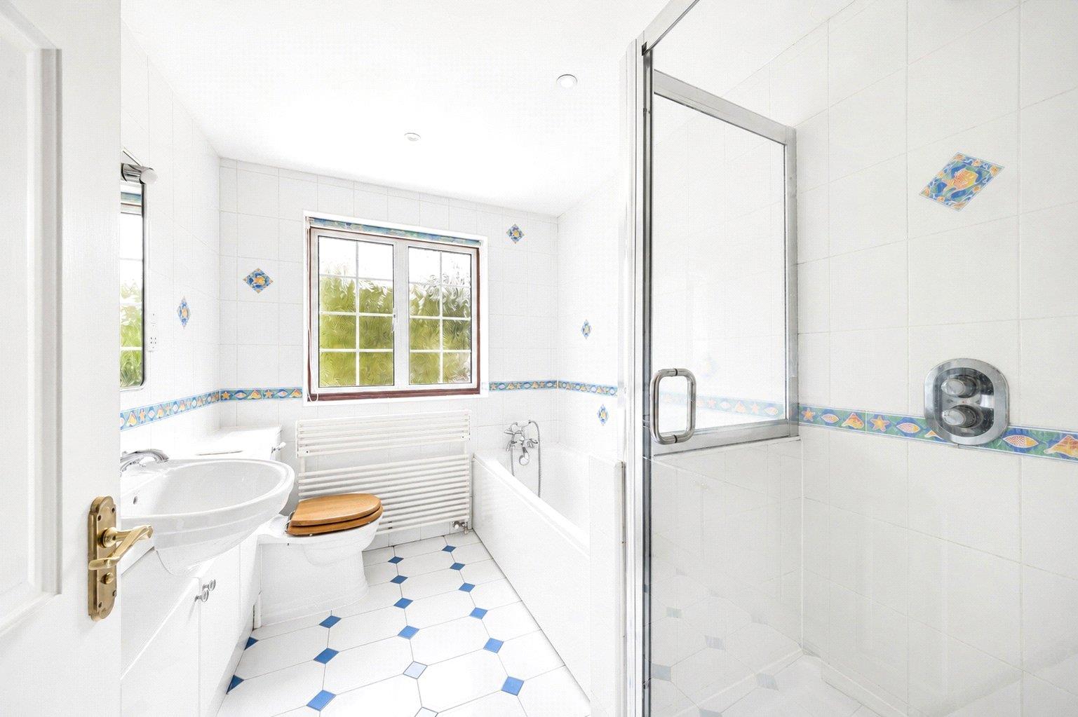 Property Image 246dde26-3081-4fb5-a52f-882c9708f54b