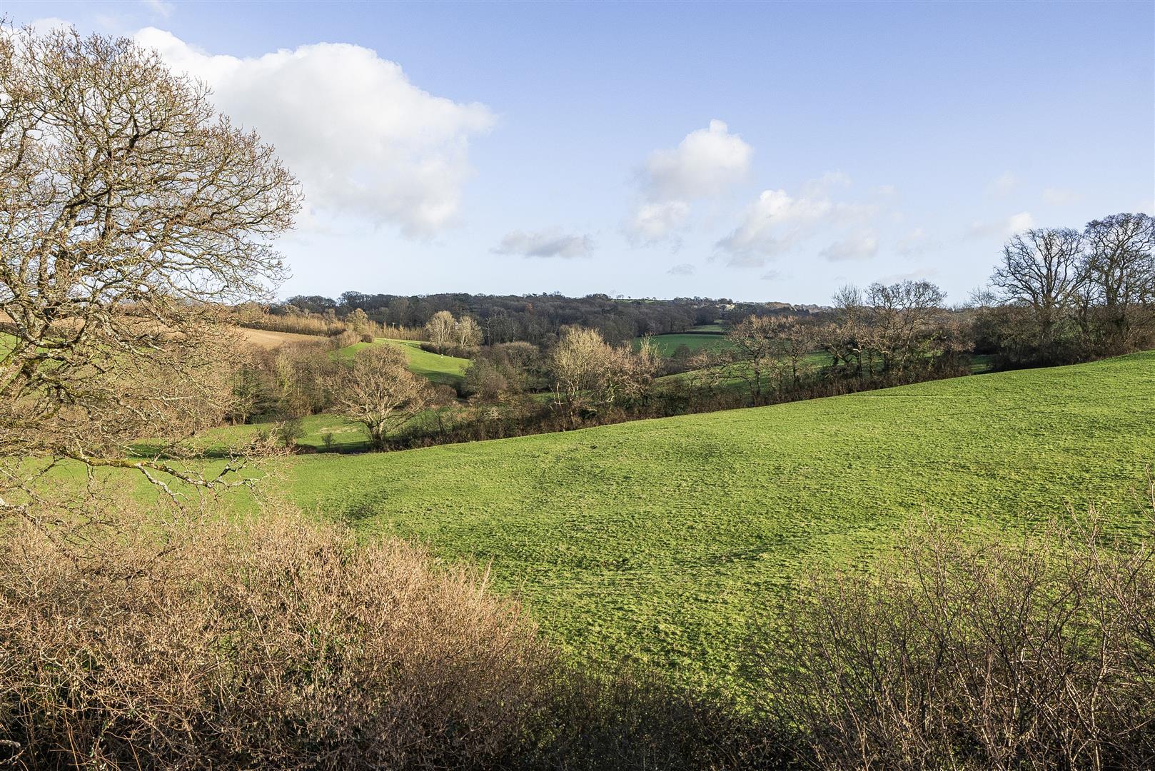 Property Image 24783eb6-d769-4c89-a114-9860928d41d0