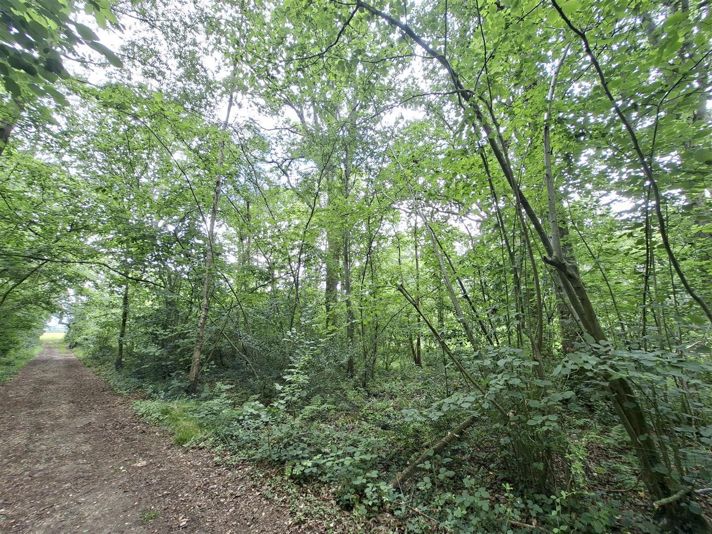 Property Image 24adac54-5377-4b6c-b3ab-acd136ab45aa