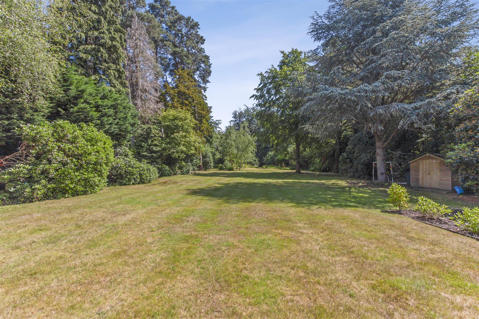 Property Image 24b69df3-e657-43b6-957f-c84da23155ea