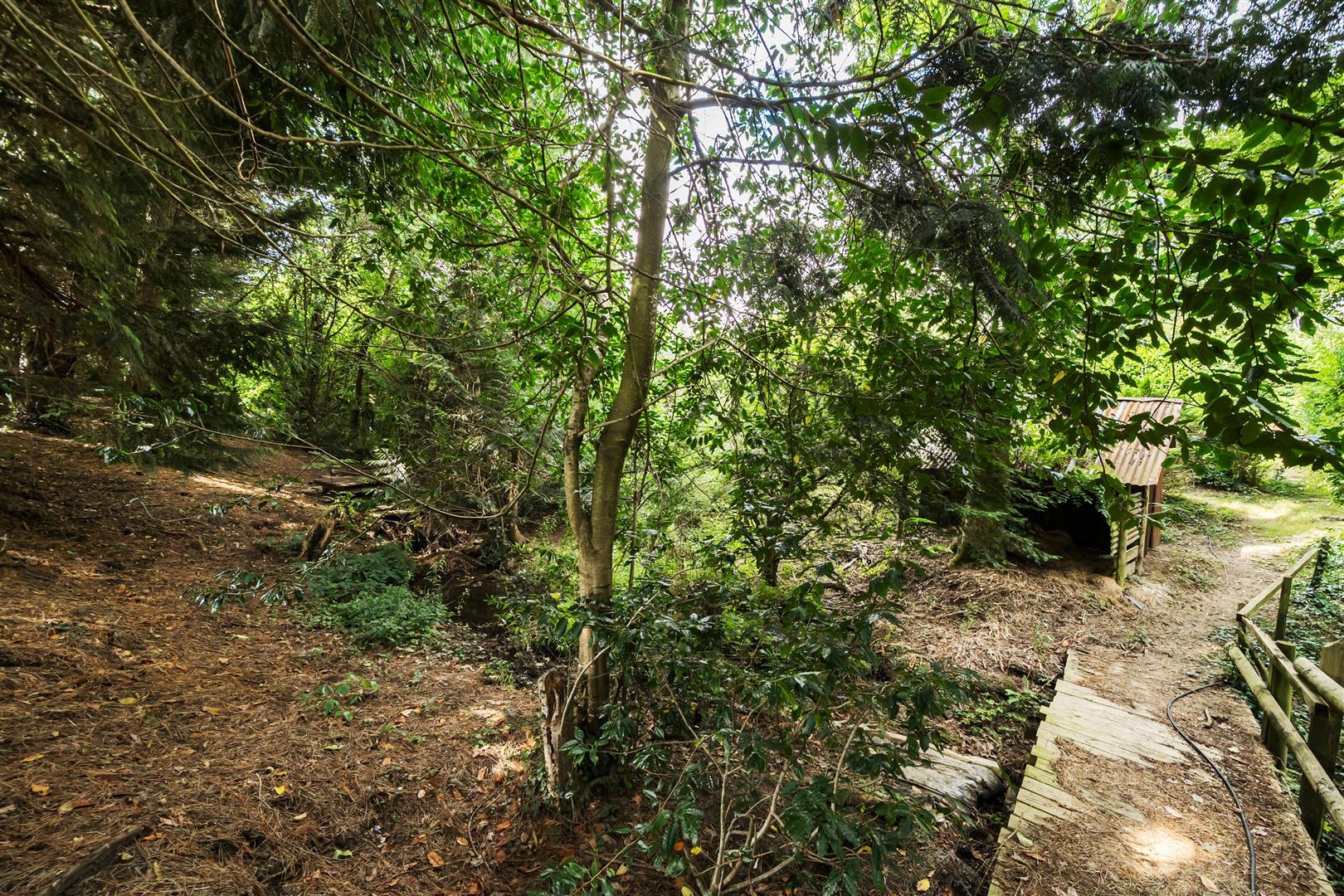 Property Image 24b890a3-7cb7-4e7a-8457-fc0fc27946c5