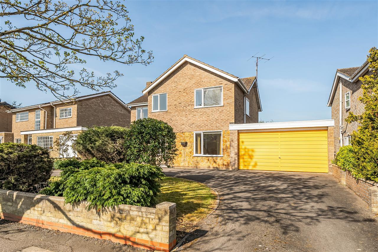 Property Image 24f39cf7-1a46-41ff-a15f-aa097db7dd79