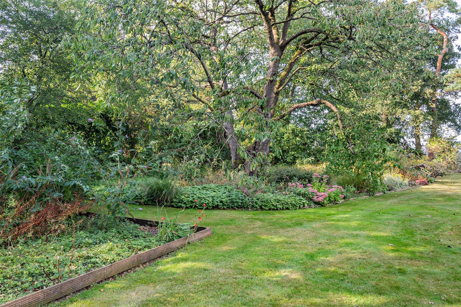Property Image 250026cc-1b44-43ba-a821-c7032553060a